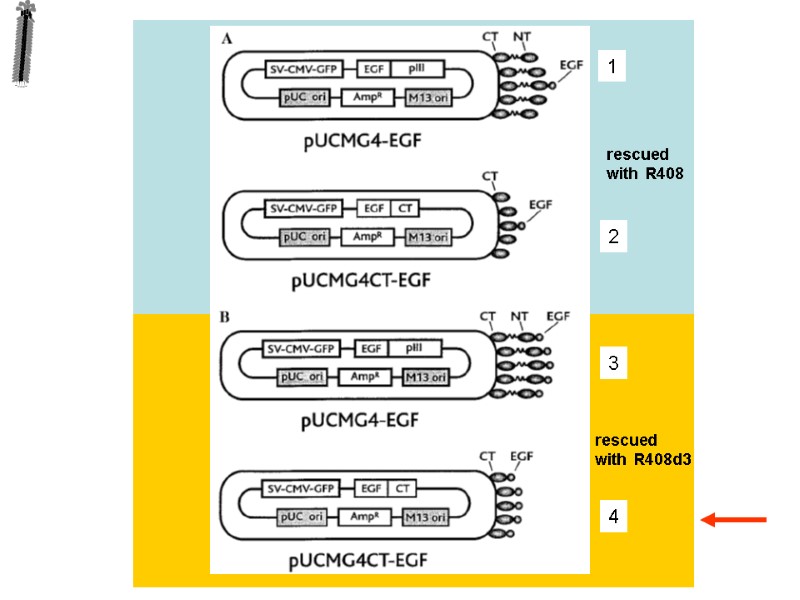 rescued with  R408 rescued with  R408d3 1 2 3 4
